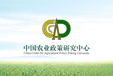 北京大学中国农业政策研究中心